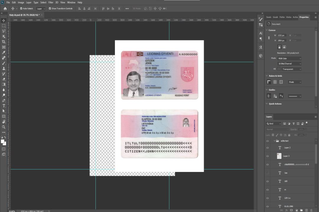 Permis de séjour en Lituanie (Litva) template